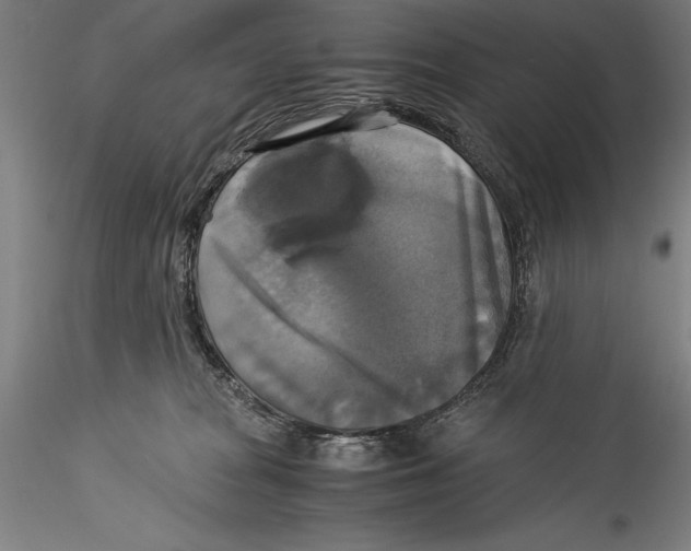 X0000115310277200911301542