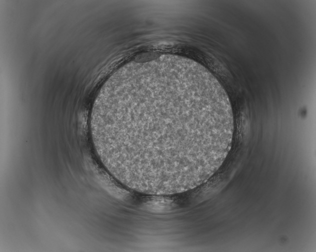 X0000115310278200911301542