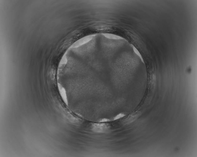 X0000115310281200911301542