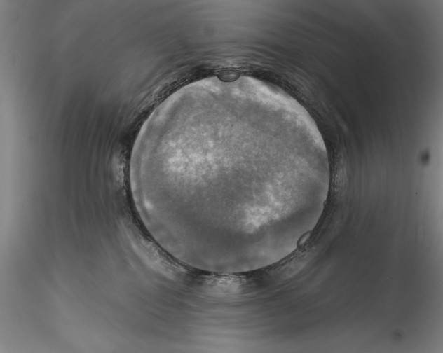 X0000115310282200911301542