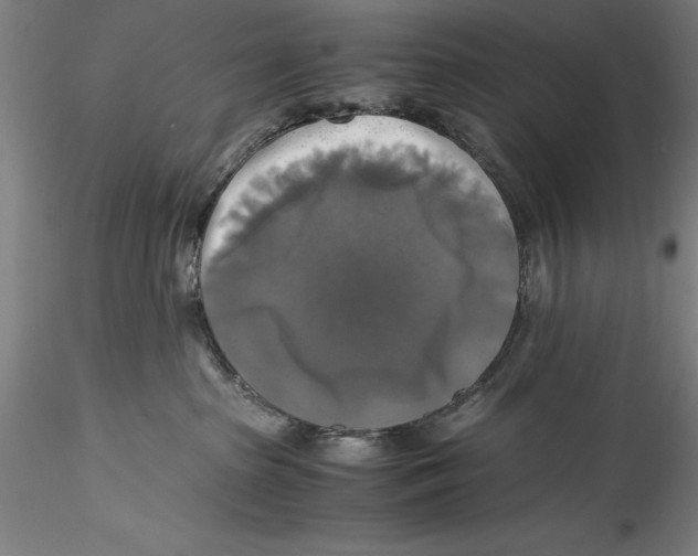 X0000115310285200911301542