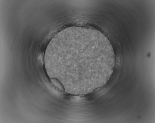 X0000115310286200911301542