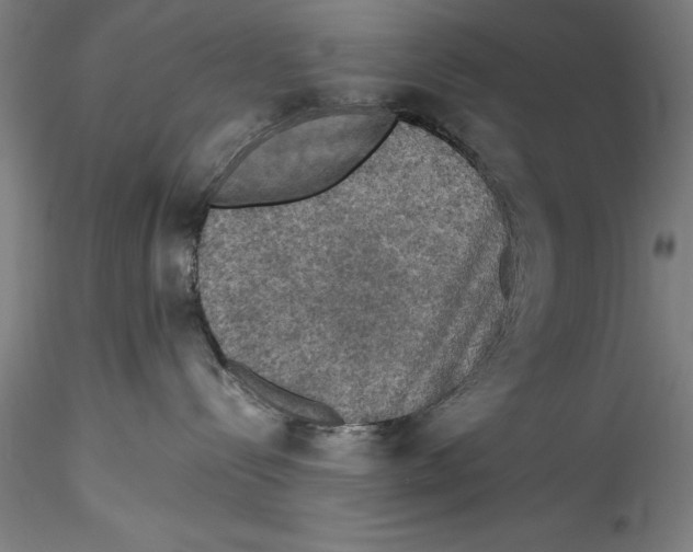 X0000115310288200911301542