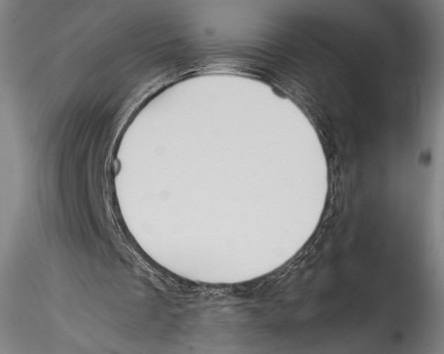 X0000115310289200911301542