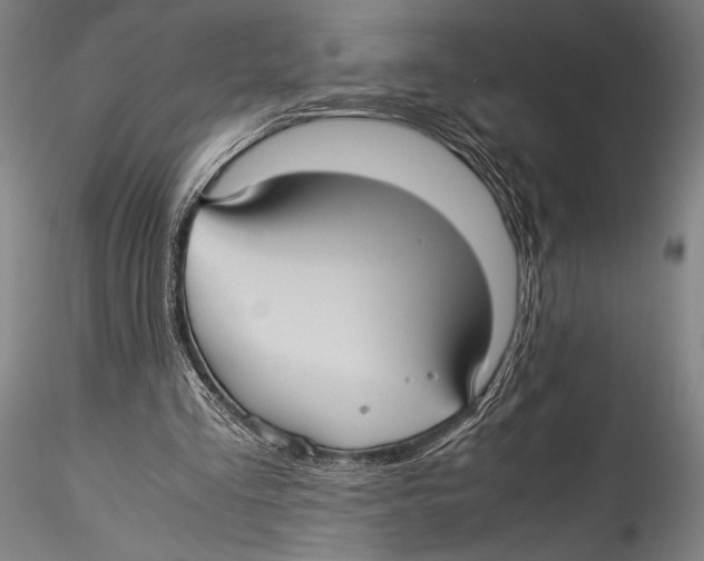 X0000115310293200911301542