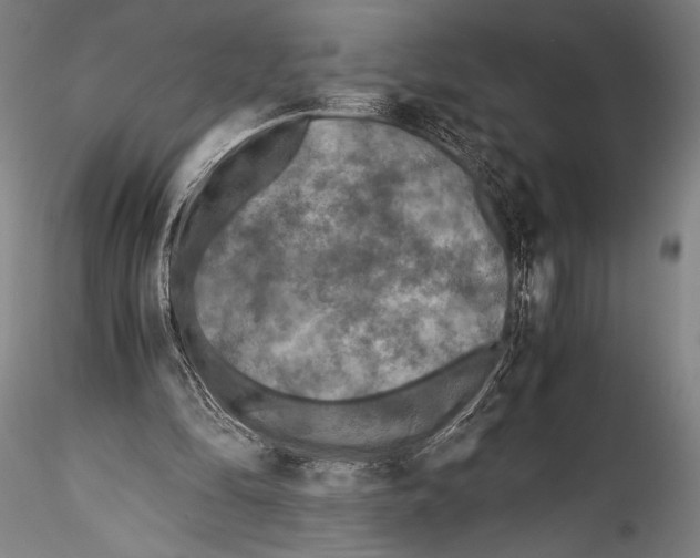 X0000115310294200911301542