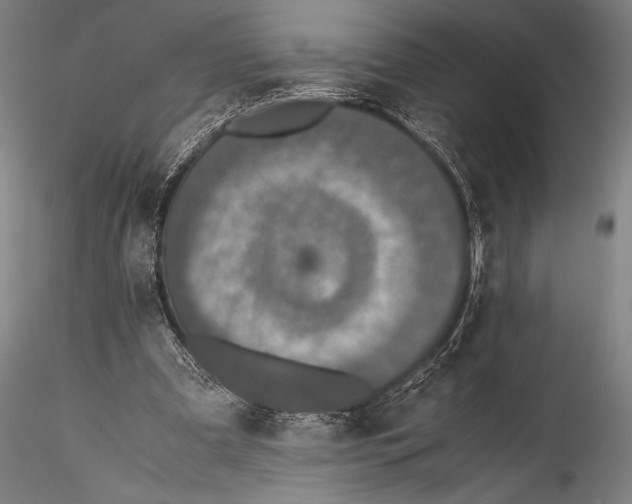 X0000115310297200911301542