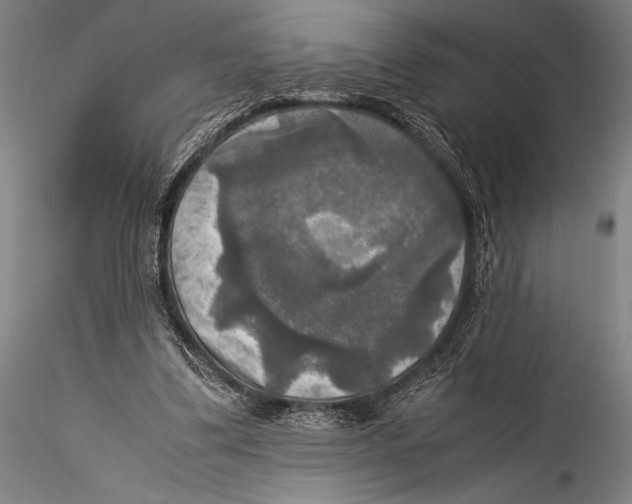 X0000115310299200911301542