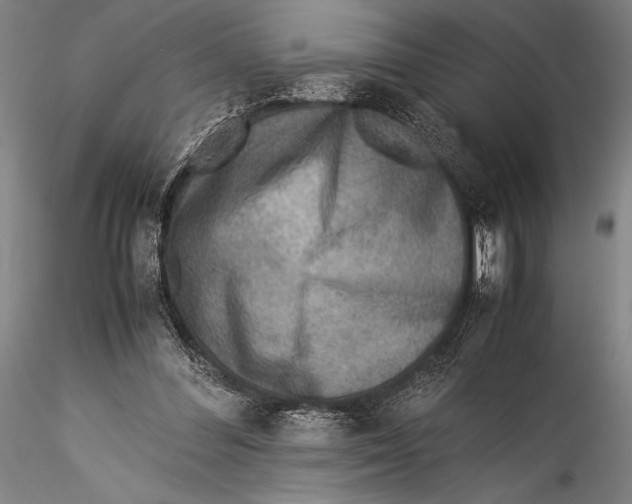 X0000115310300200911301542