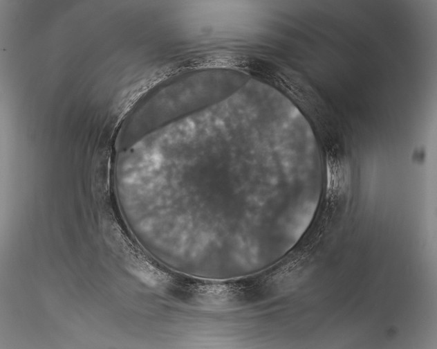 X0000115310301200911301541