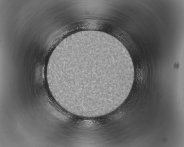 X0000115310302200911301541