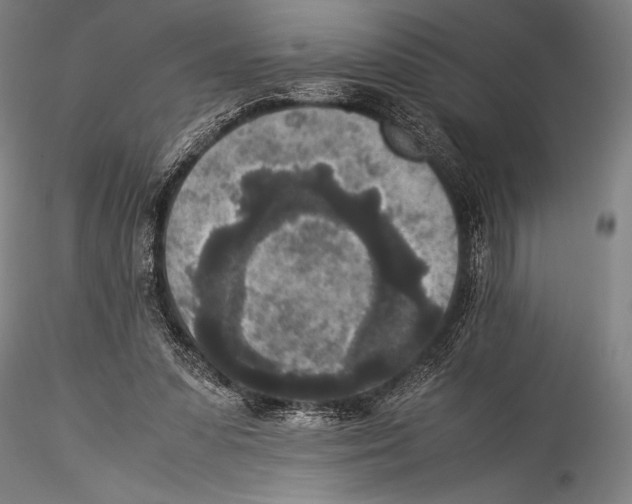 X0000115310303200911301541