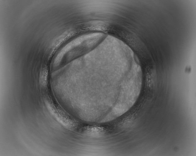 X0000115310304200911301541