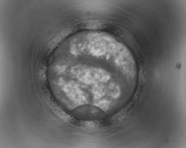 X0000115310305200911301541