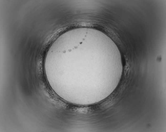 X0000115310306200911301541