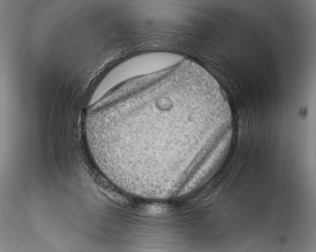 X0000115310308200911301541