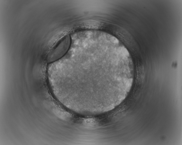 X0000115310309200911301541