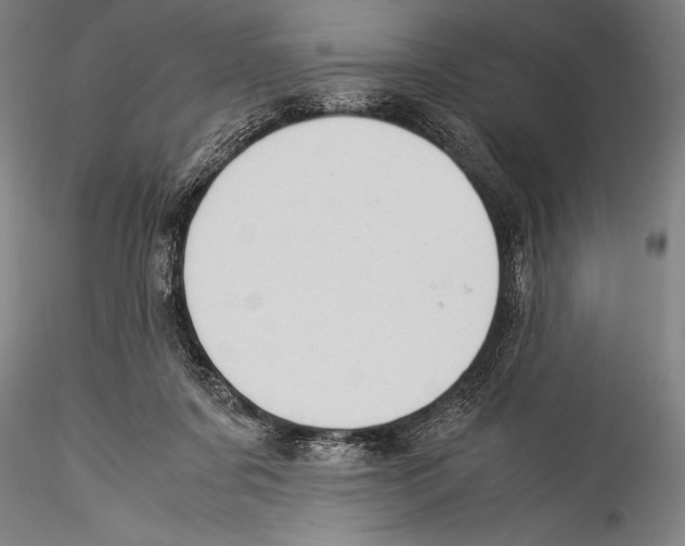 X0000115310311200911301541