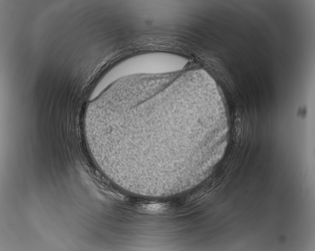 X0000115310312200911301541