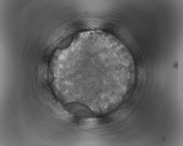 X0000115310313200911301541