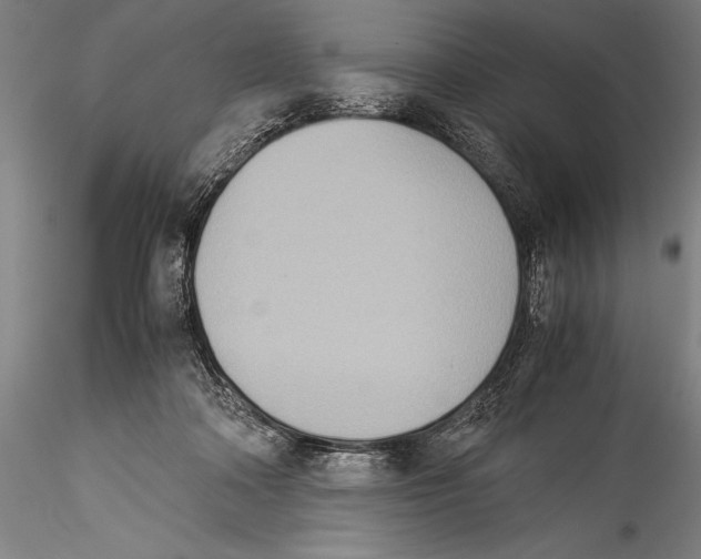 X0000115310314200911301541