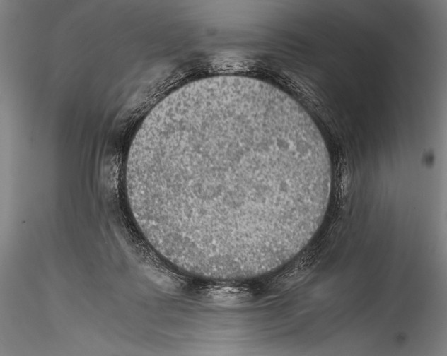 X0000115310315200911301541