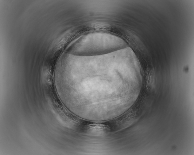 X0000115310316200911301541