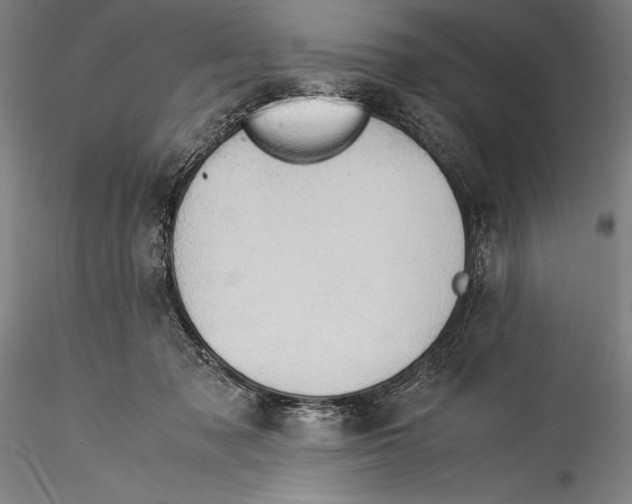 X0000115310317200911301541