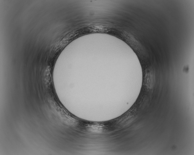 X0000115310318200911301541