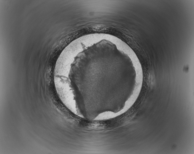 X0000115310319200911301541