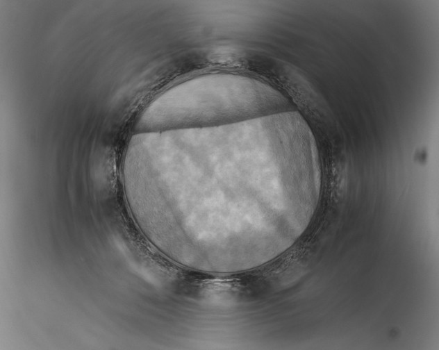 X0000115310320200911301541