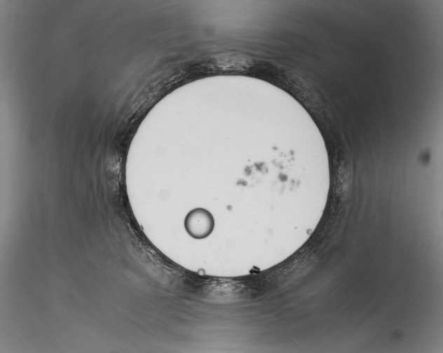 X0000115310321200911301541