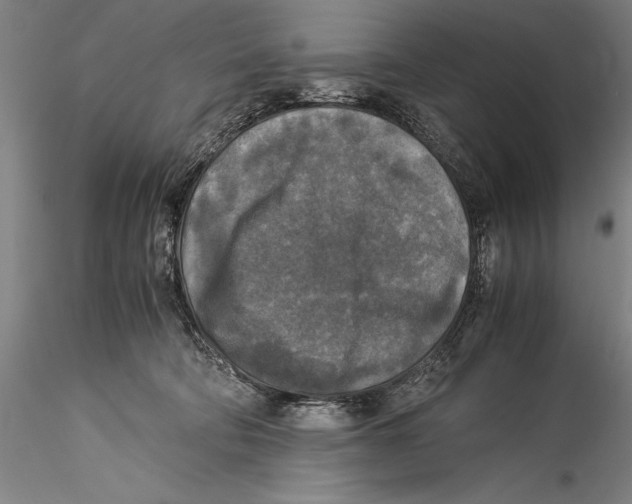 X0000115310322200911301541