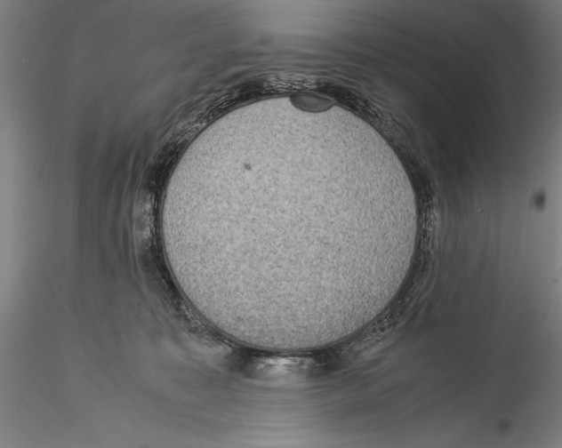 X0000115310323200911301541