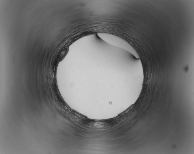 X0000115310324200911301541