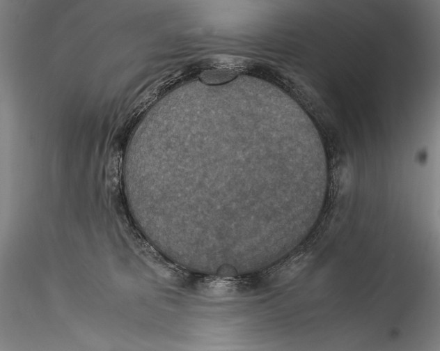 X0000115310325200911301541