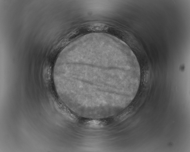 X0000115310326200911301541