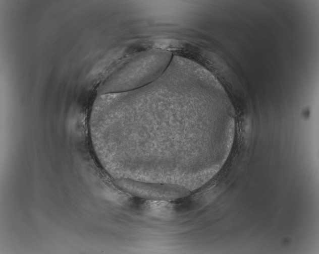 X0000115310327200911301541