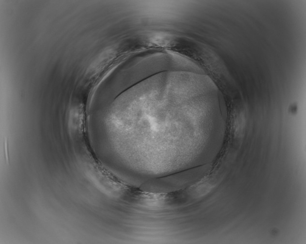 X0000115310328200911301541