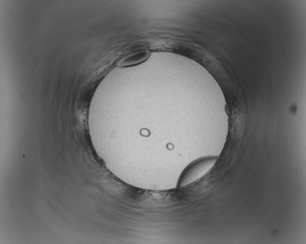 X0000115310329200911301541