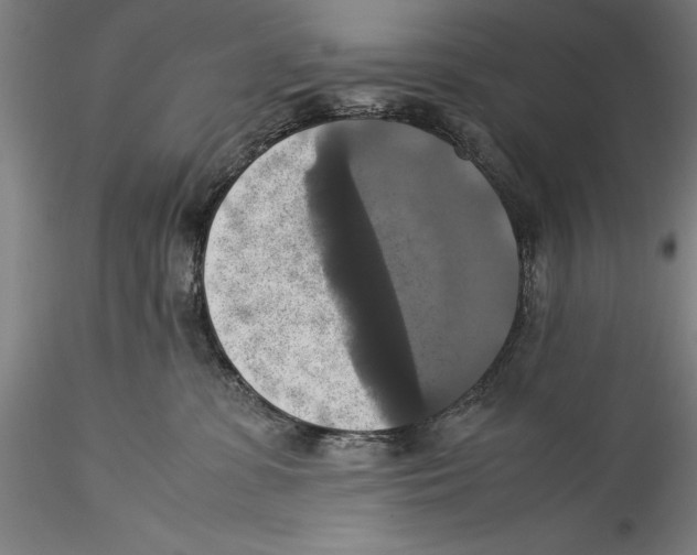 X0000115310331200911301541