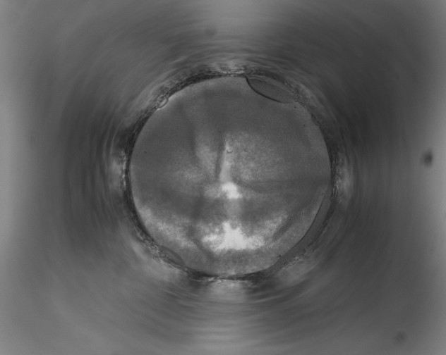 X0000115310332200911301541