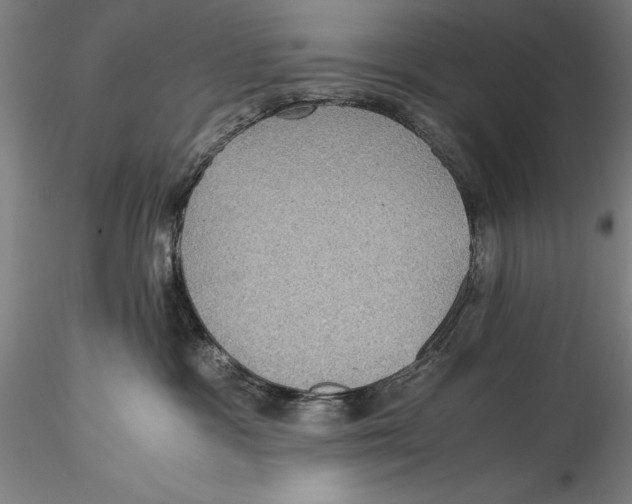 X0000115310333200911301541