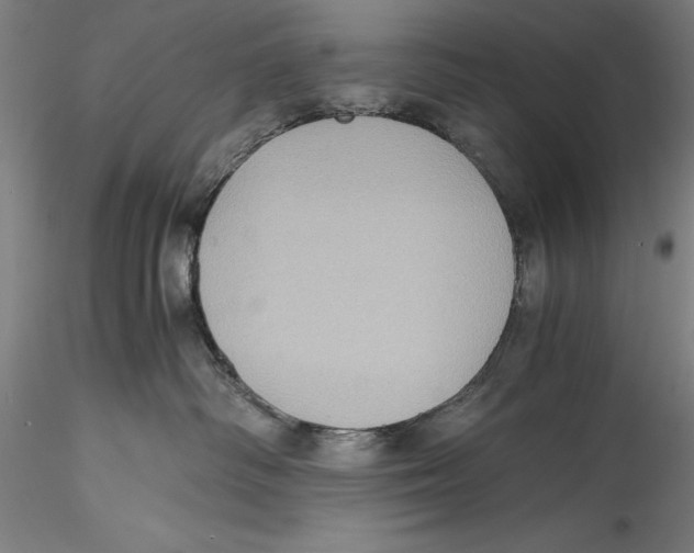 X0000115310334200911301541