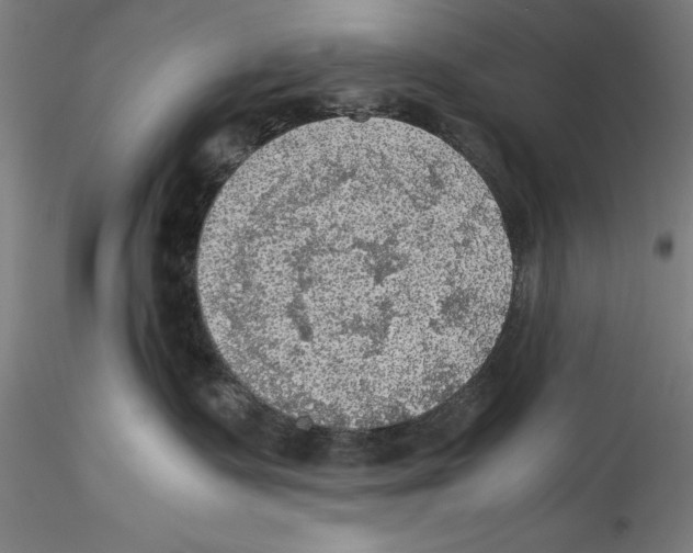 X0000115310335200911301541