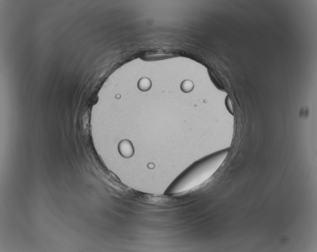 X0000115310336200911301541