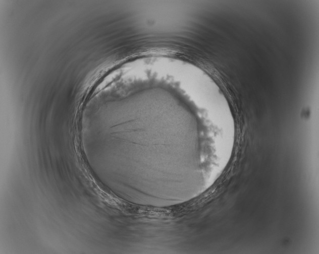 X0000115310337200911301540