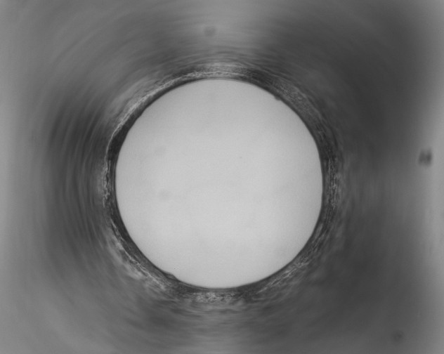 X0000115310338200911301540