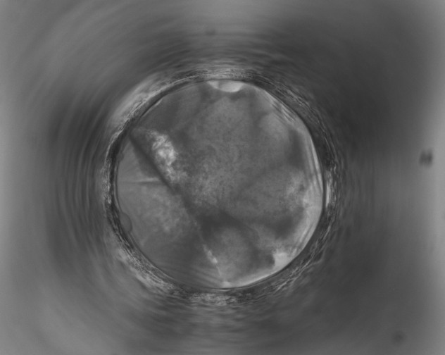 X0000115310339200911301540