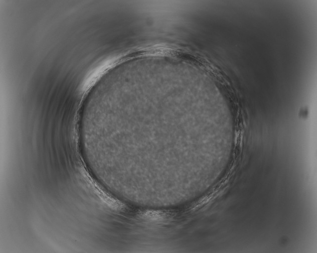 X0000115310341200911301540